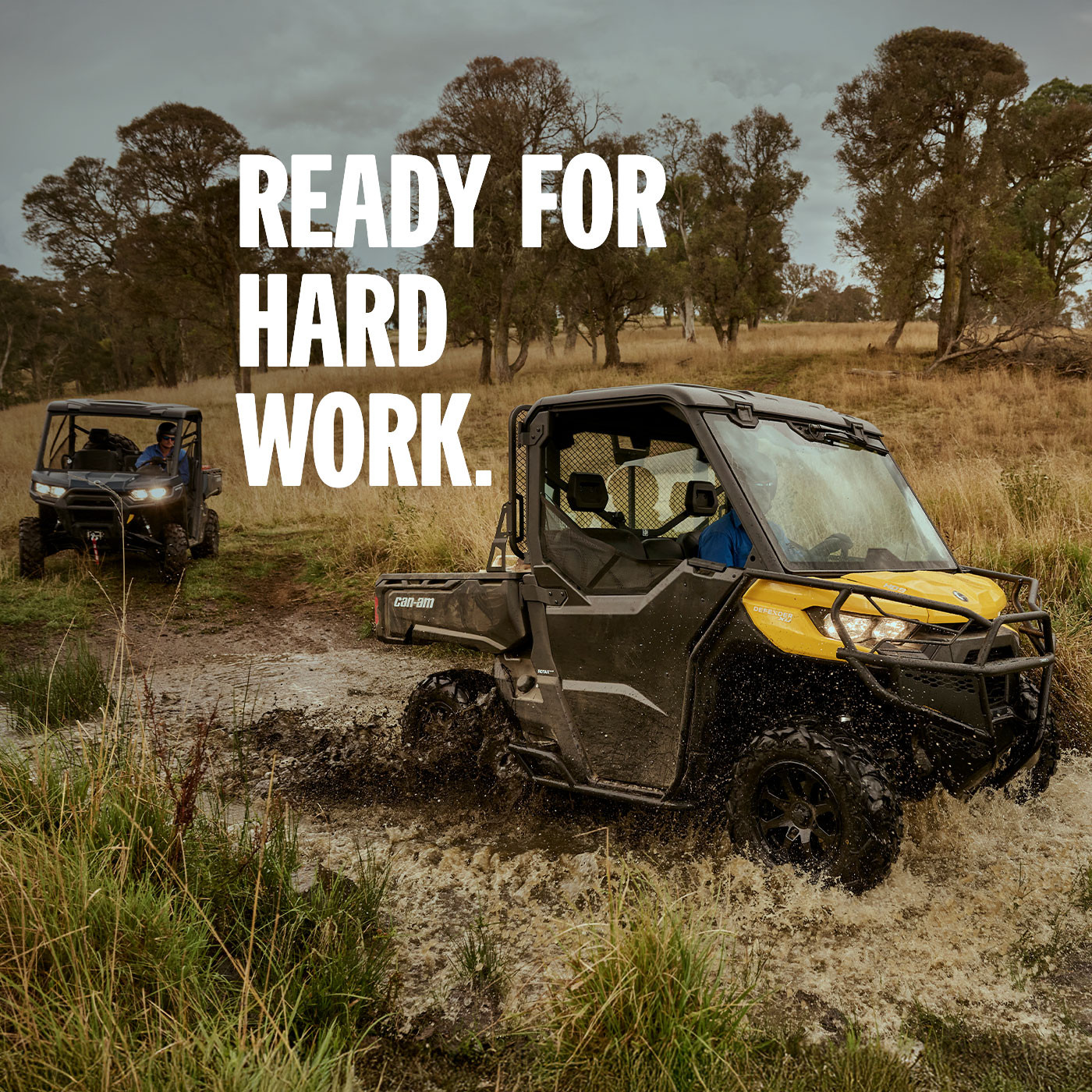 Defender Pro DPS HD10